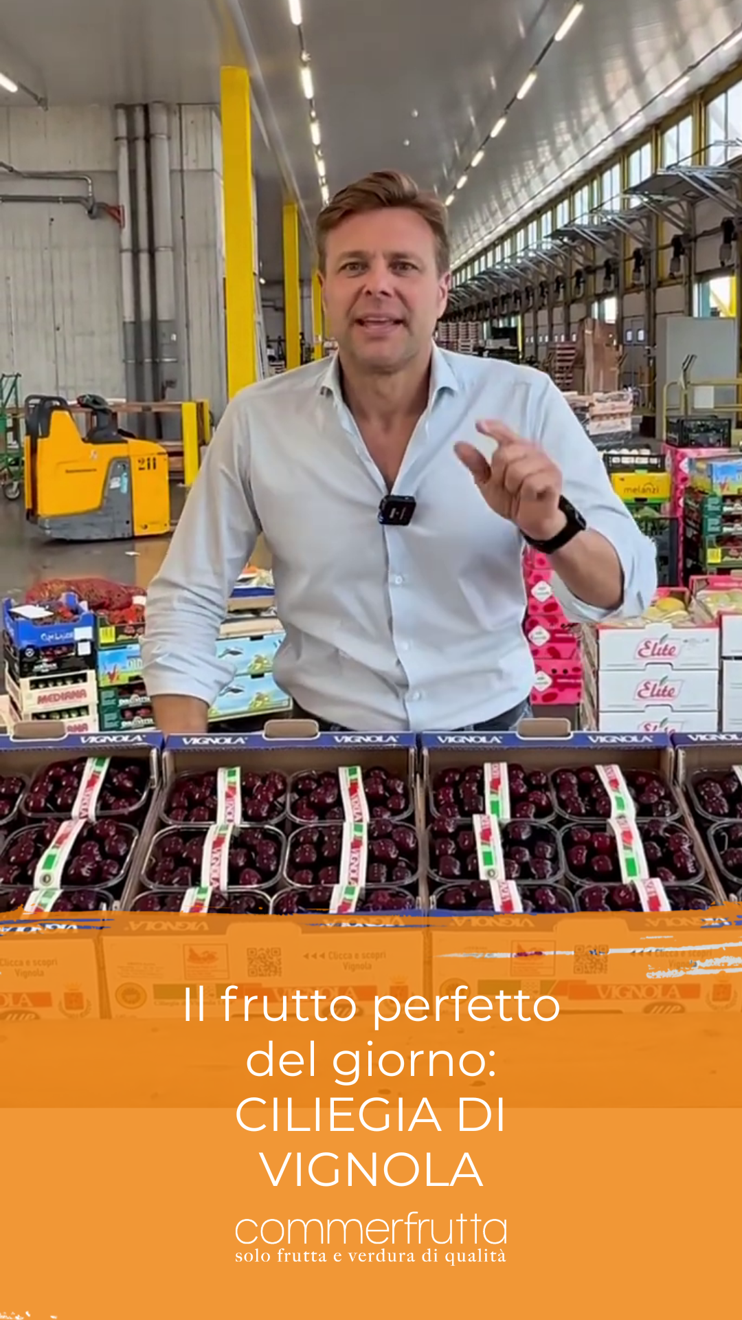 la Ciliegia di Vignola