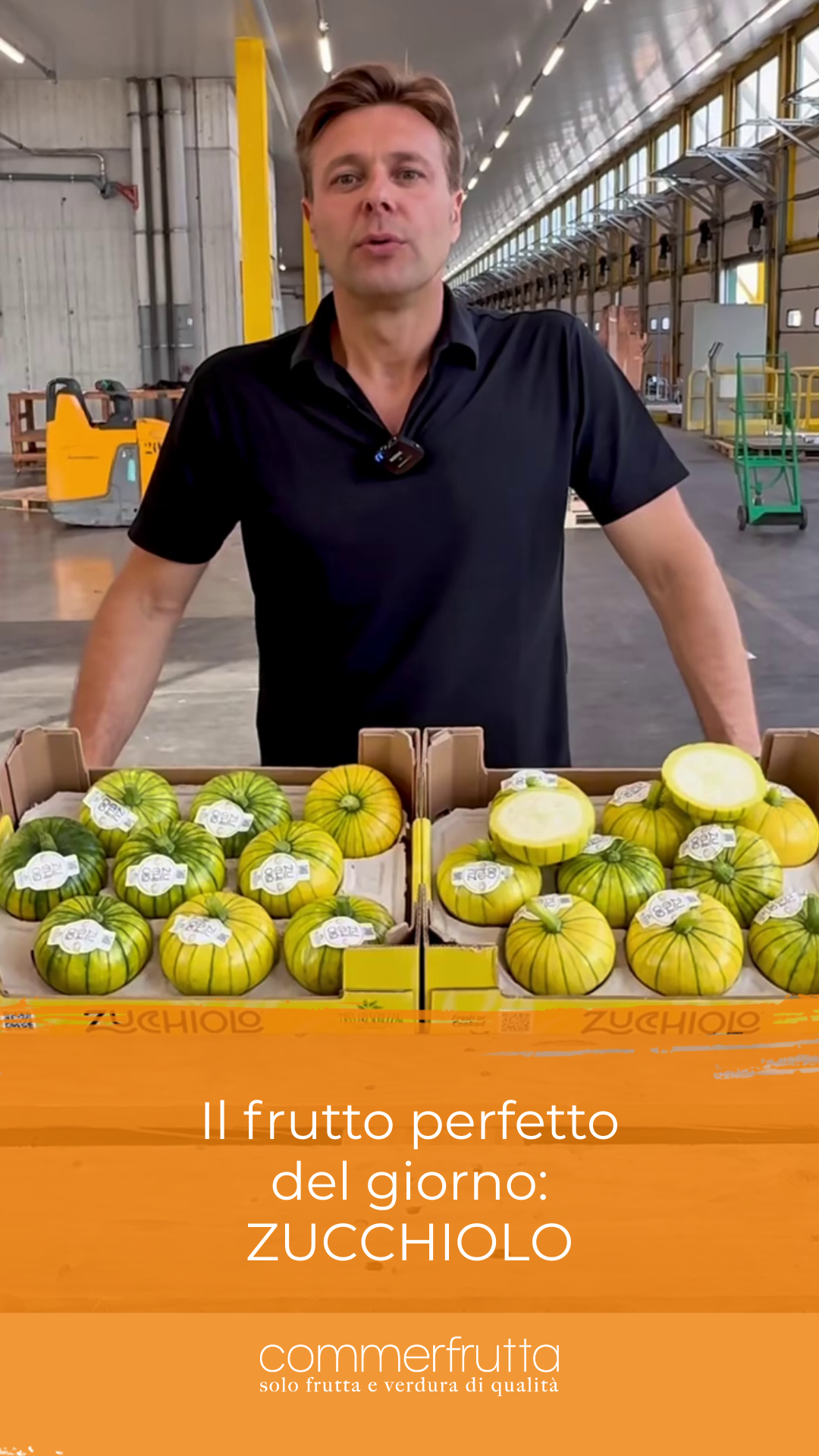 Lo Zucchiolo
