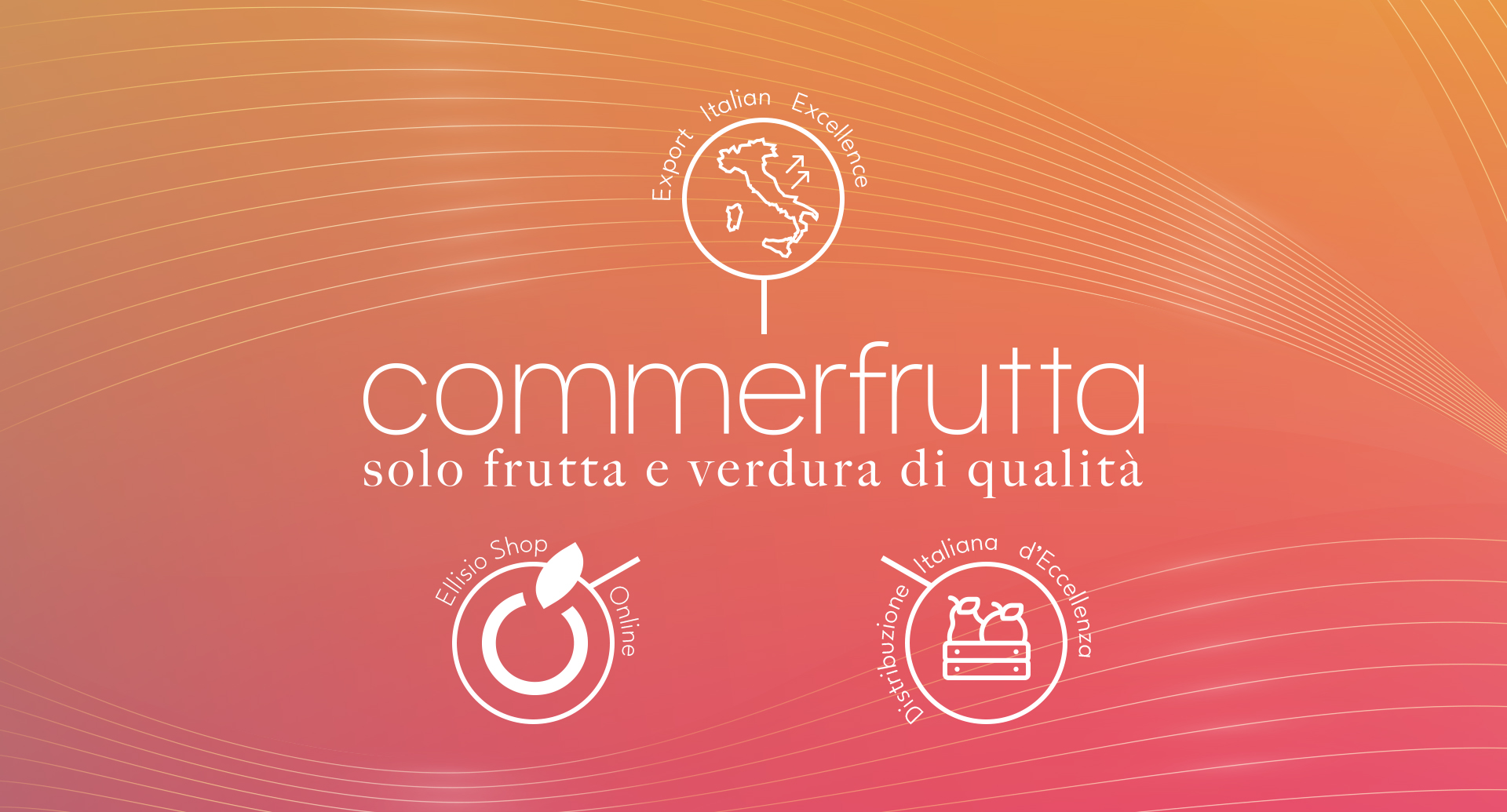 commerfruttab2b