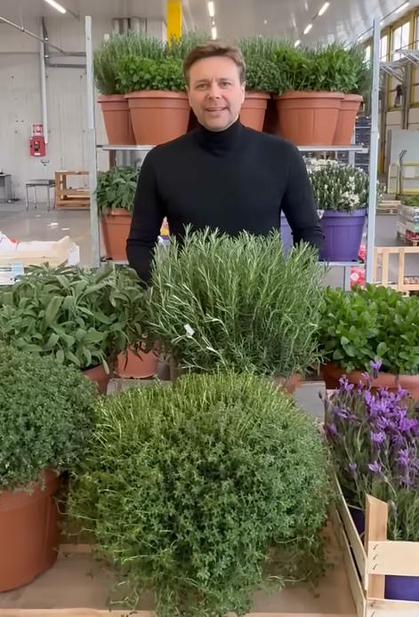 Le Erbe Aromatiche Fresche