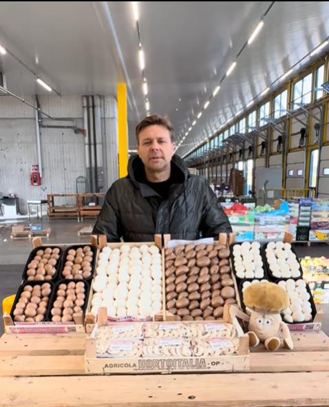 Il Fungo Champignon